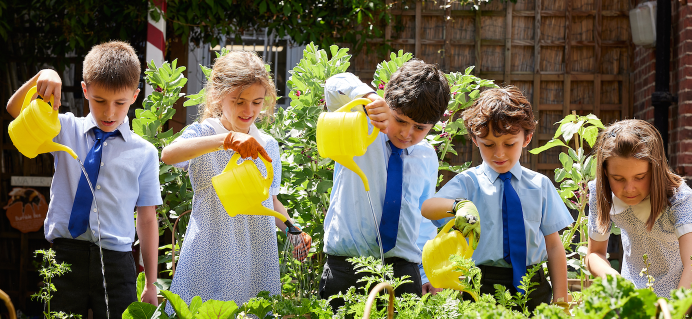 St James Preparatory School